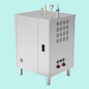 Time & Energy Saving - Steam Generator